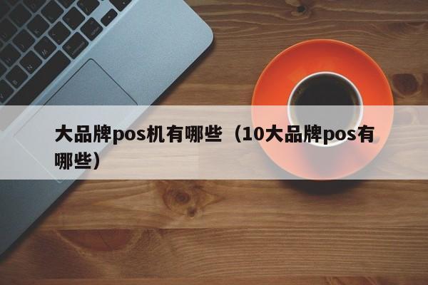 大品牌pos机有哪些（10大品牌pos有哪些）
