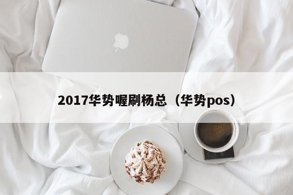 2017华势喔刷杨总（华势pos）