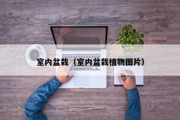 室内盆栽（室内盆栽植物图片）