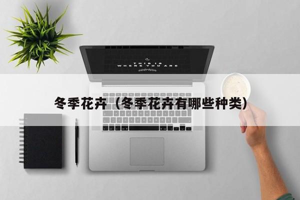冬季花卉（冬季花卉有哪些种类）