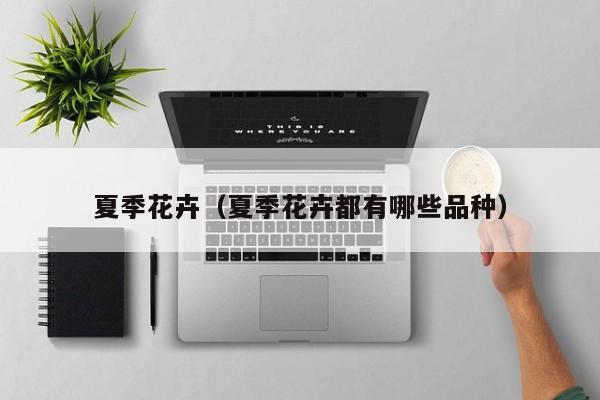 夏季花卉（夏季花卉都有哪些品种）
